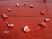 ketting van metaaldraad en schelp rood